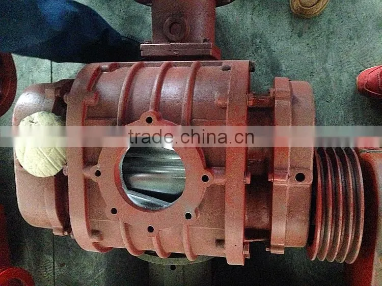 LRB low pressure roots blower