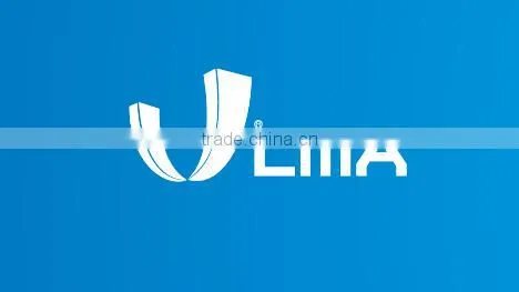 LMA Rare Earth Neodymium Magnet,Permanent NdFeB Magnet