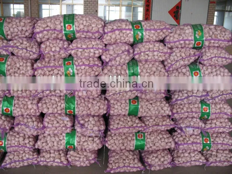 chinese pure white garlic