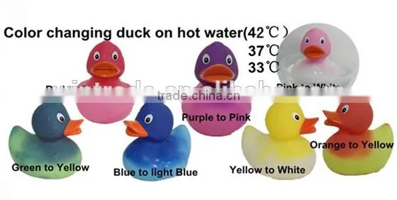 Dongguan toy/Guangdong toy/baby toy