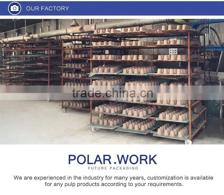 Eco disposable paper pulp molded packaging,disposable paper pulp