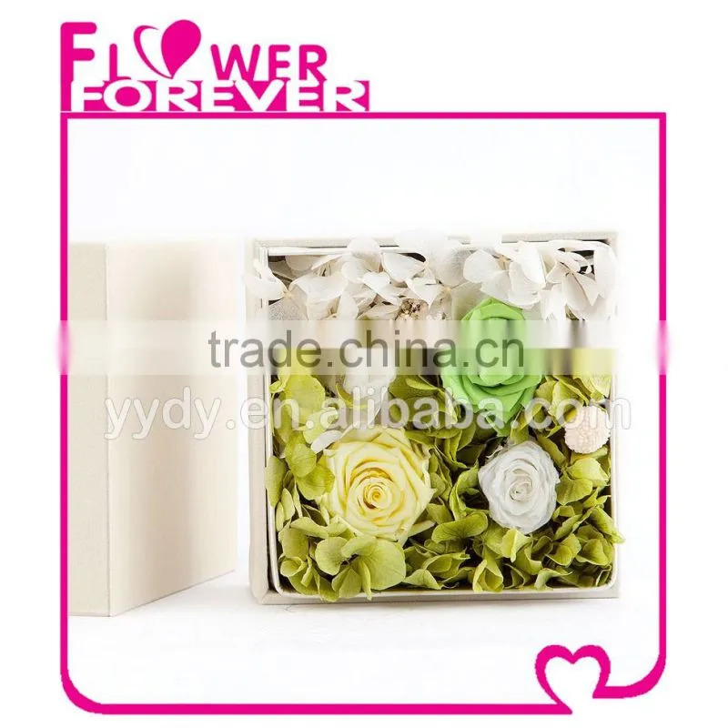 Best Valentine Gift Preserved Flower
