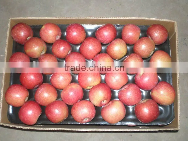 red Fuji apple