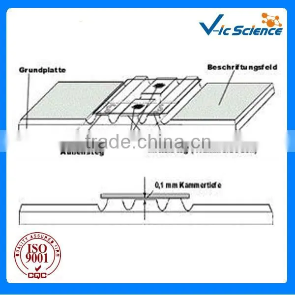 Neubauer-Improved Blood test blood count chamber with bright line
