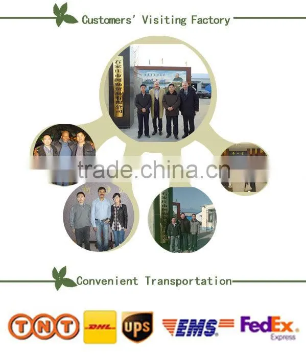 CE certificate OEM offered warmer patch heating patch