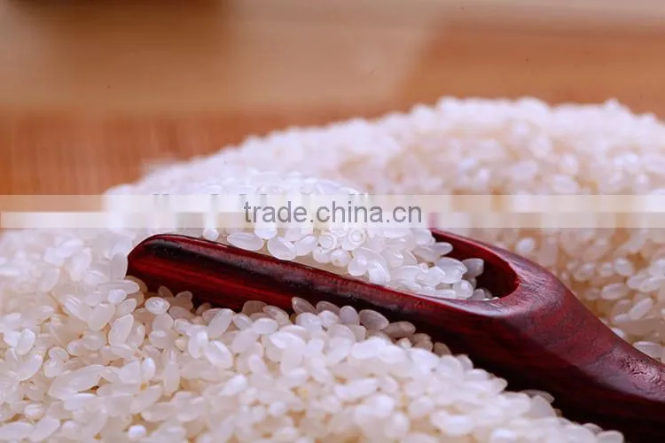 Gaishi Joponica Sushi Short Grain Round Rice