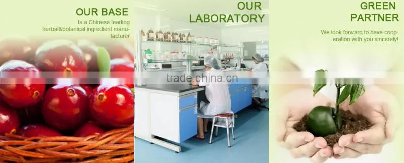Pure Cranberry Fruit,100% ID Vaccinum Macrocarpon,Proanthocyanidins 5%,10%,15% BL-DMAC;25%,40%,95% UV EP Method