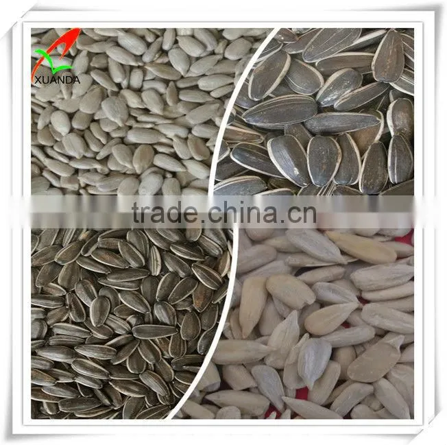 sunflower bakery distributors kernels