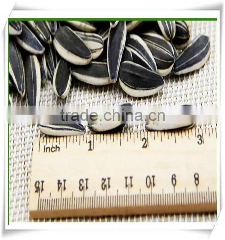 ROASTED AND SALTED SUNFLOWER SEEDS
