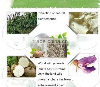 women beauty breast enlargement capsule