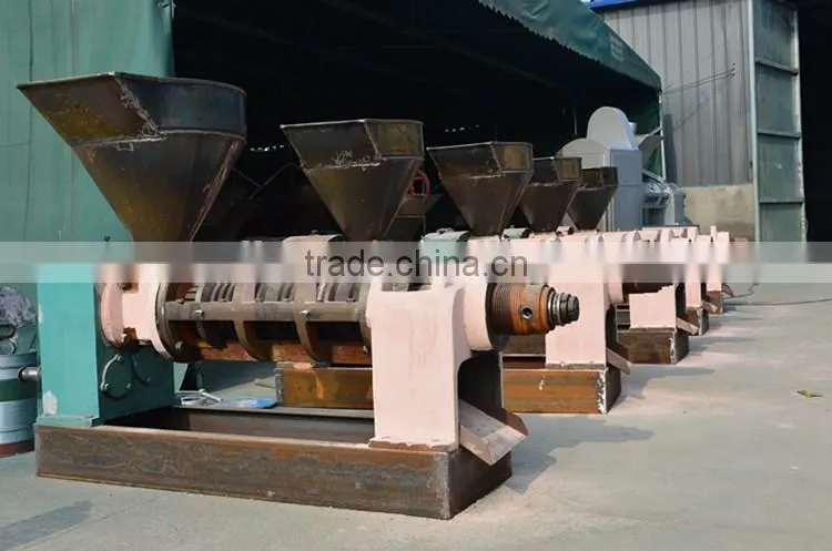 Soybeans Biofuel Processing Oil Production 6YL-165