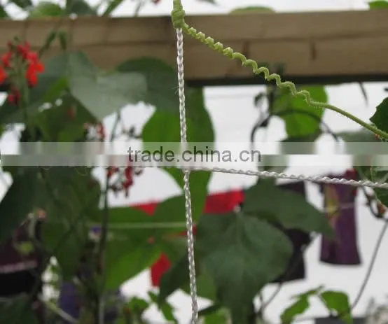 Knitted polypropylene trellis netting makes you love garden work more
