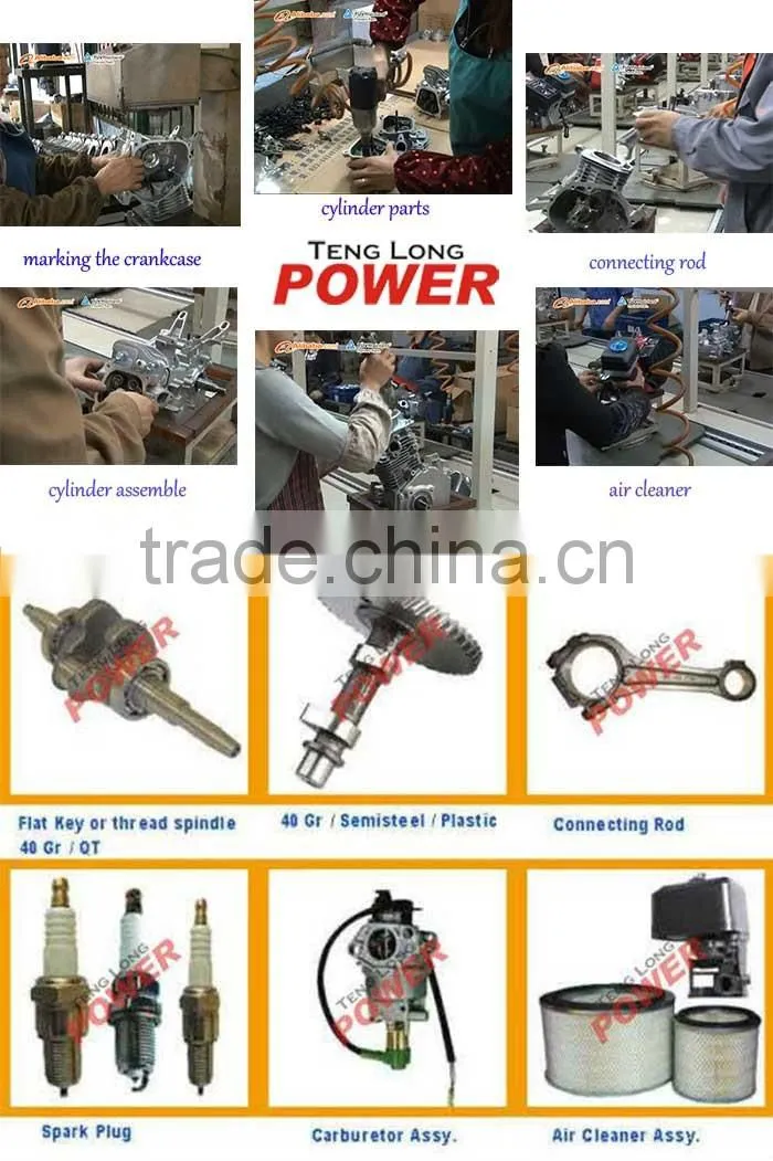 TLQG65-55 Easy To Start Manual Water Pump