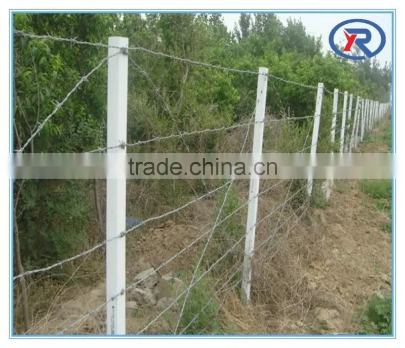 China factory cheap barb wire fence.galvanized barbed wire fencing
