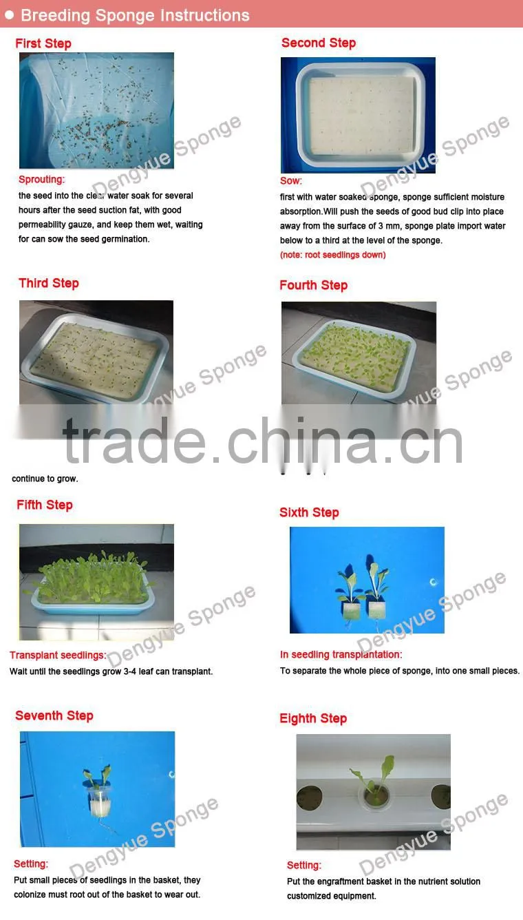 healthy greenhouse stereoscopic Agriculture save space save soil no need fertilizer planting foam