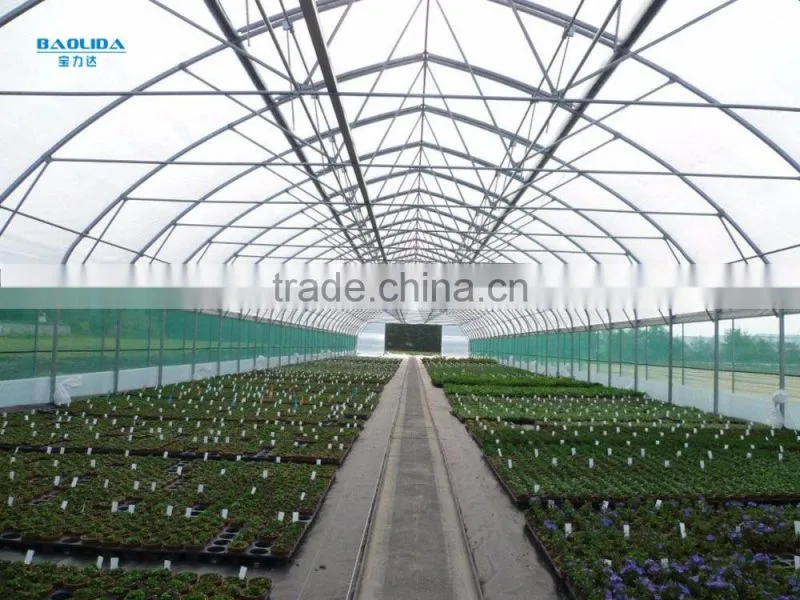 greenhouses for roses