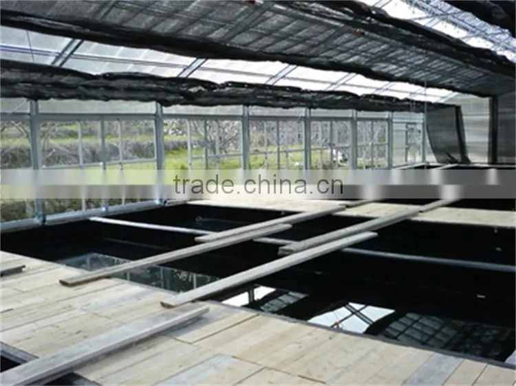 Multi-Span Greenhouse With Aquaponics Growing Systems For Agricultural Planting