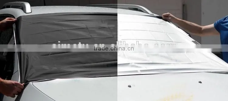 car front Frost Guard