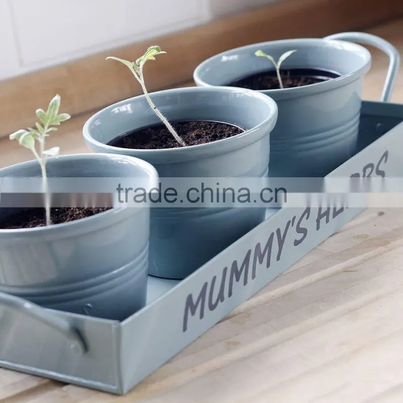 Small Garden Decorative Metal Gift Bucket