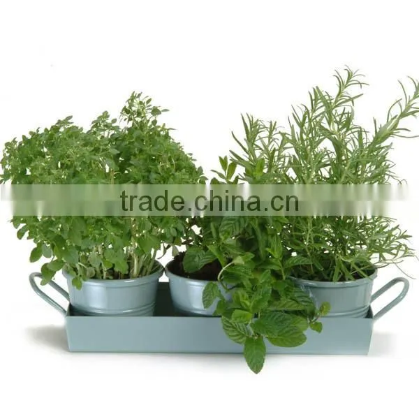 Hanging Flower Pots Large Metal Iron Bucket Flower Holder Garden/Balcony Planter