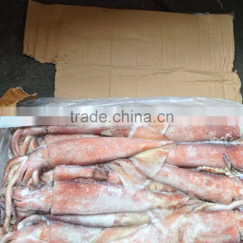 200-300g Frozen Seafood Japanese Flying Squid