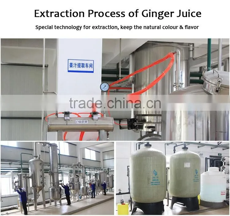 FTA approved Ginger Honey Tea, Ginger Lemon Tea, Red Dates Ginger Tea