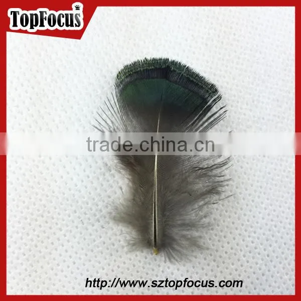 carnival decorate green loose lady amherst pheasant feathers for sale