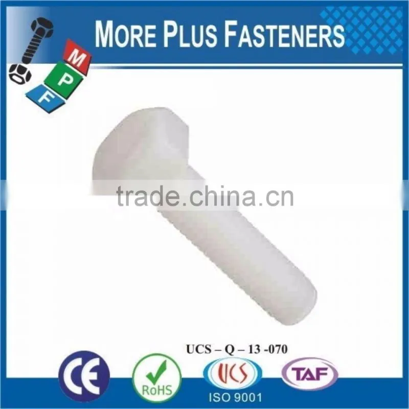 Made in Taiwan Slotted Screw with Hexagonal Head Polycarbonated Nylon