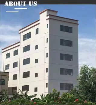 Zhongshan Elock Security Technology Co Ltd company overview - view 1
