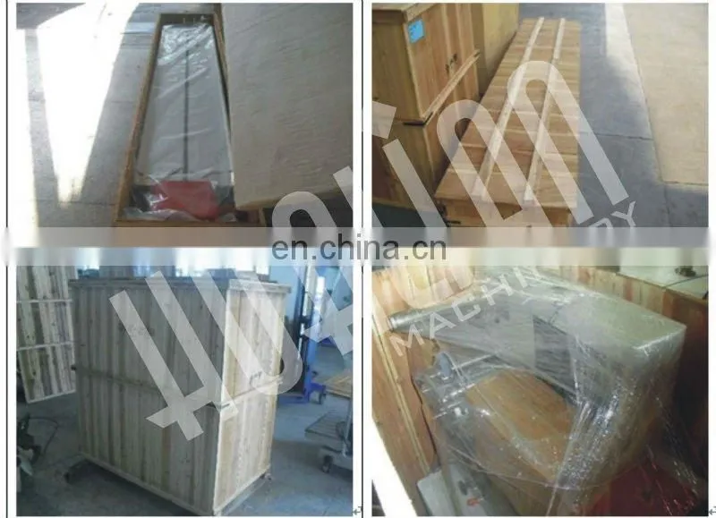DXDZ-250B HUALIAN Flow Pack Machine