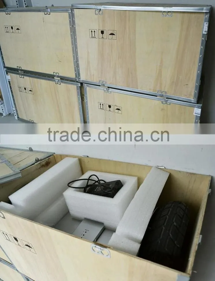 12v 24v 36 v Abs roofbattery power two seats electric scooter