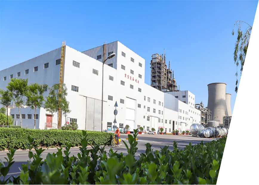 Sinochem Luxi Engineering Co.,ltd company overview - view 4