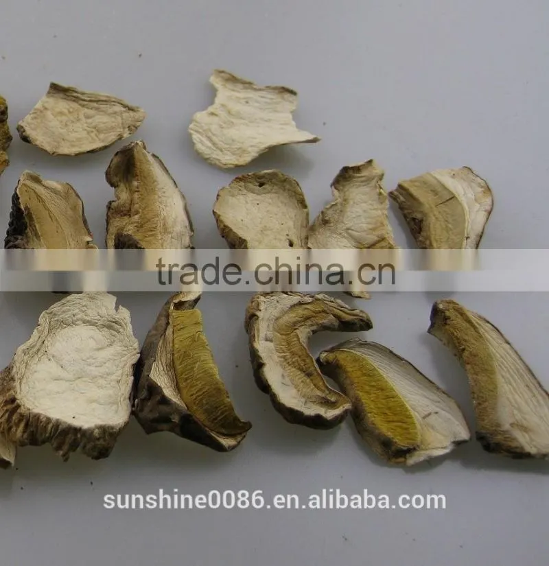 Dried boletus comestible wild porcini