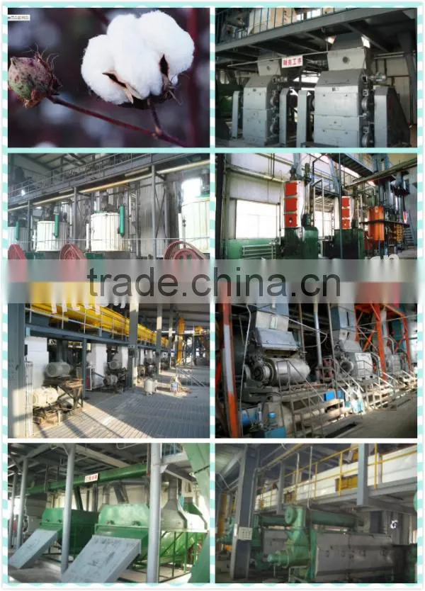 Hot sale low cost 200-500 TPD edible oil production line