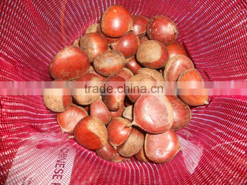 2015 crop Chinese fresh chestnut best quality for export
