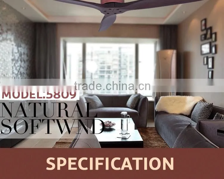 Air Movement Beautiful Performance Ceiling Fan