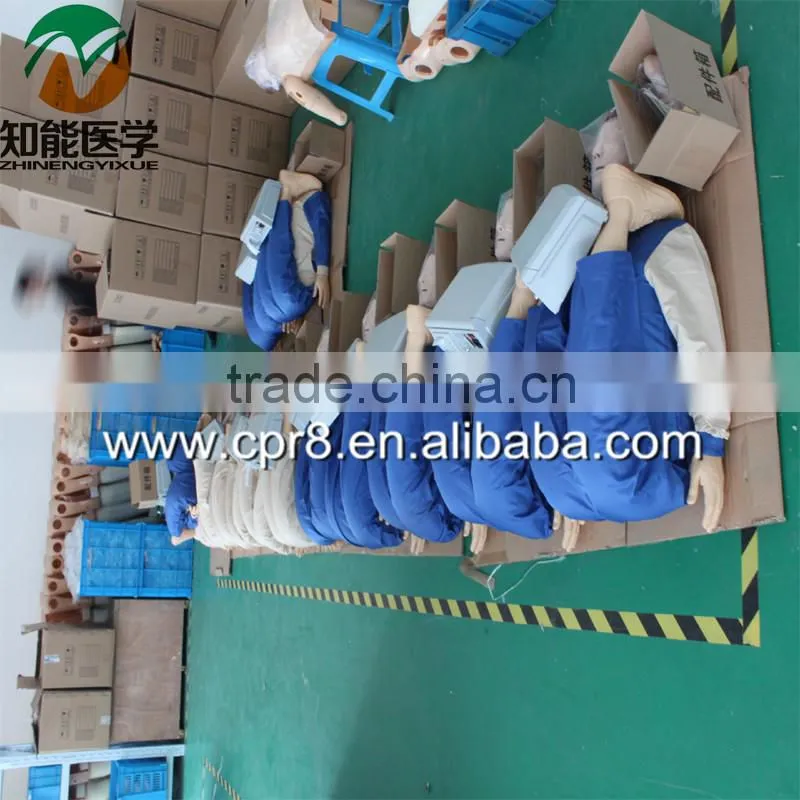 BIX-L1032 tooth pit and fissure sealing demo model