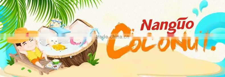 coconut milk flavored instant cereal for Nutrition breakfast