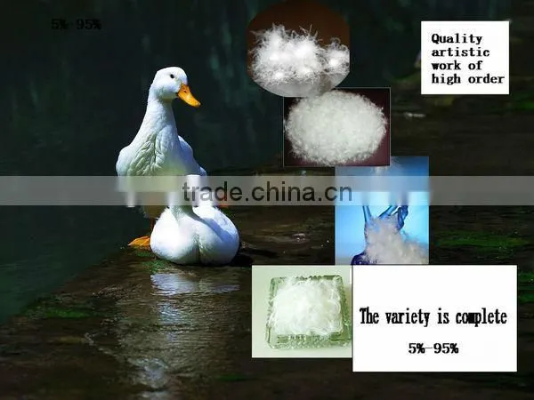 60% Washed White Goose Down