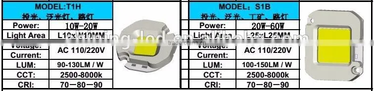 Withour Driver Epistar / Bridgelux Chip AC 110V/ 220V COB LED Diode 100W for LED Floodlight