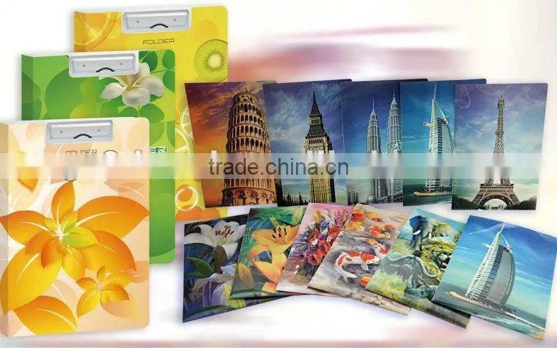Lenticular 3D PP plastic file folder, PP Lenticular A4 file folder,for gifts and promotion