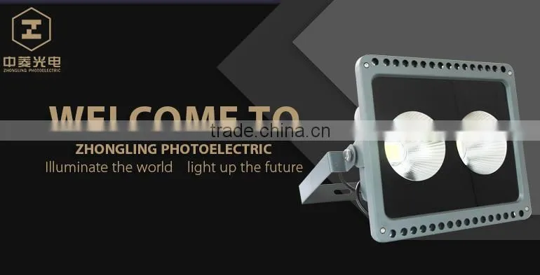 High Efficiency Isolated Driver 100w 80w cob led flood light