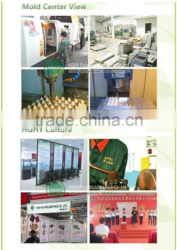 disposable paper dish pulp molding machine by HGHY