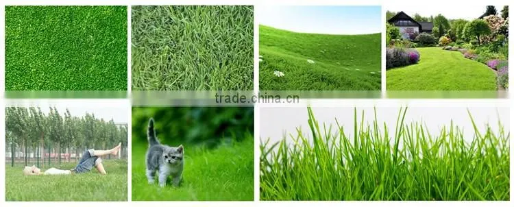 FAQ 15--How To Control Lawn Disease?