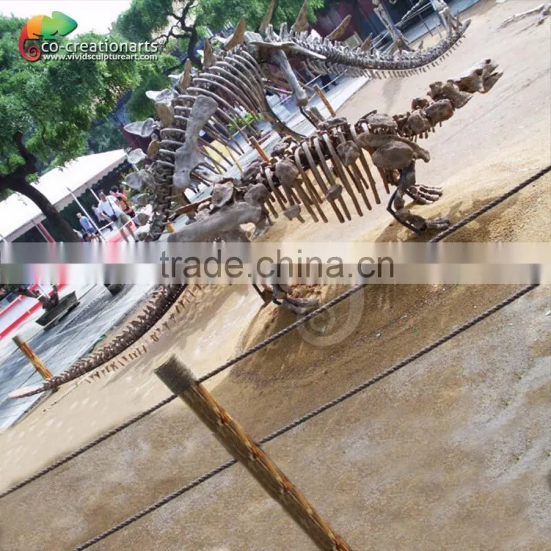 High quality dinosaur skeleton replica for museum