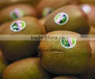 2016 hot sale Custom Printed Adhesive Packaging Sticker Fruit Label
