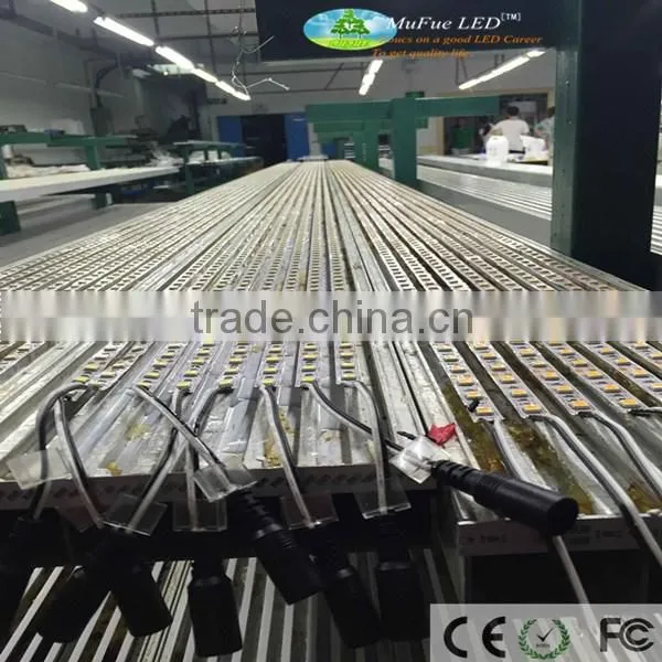 Waterproof IP68 RGBW 5050 LED Strip Light