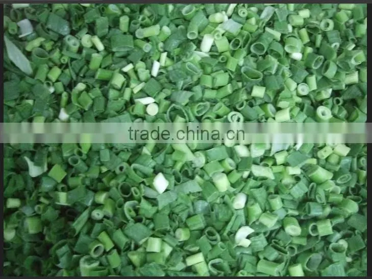 New Crop IQ Fleek/ spring onion Dices (4-6mm)