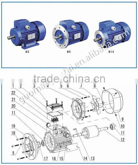 Three-phase Asynchronous Motor