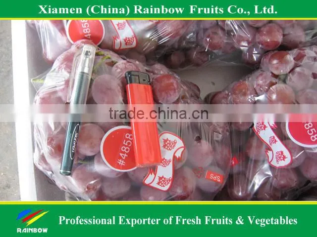 fresh Red Sweet seeded grape fruit export from China